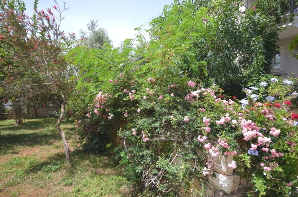 Villa Leton Kleo - Kalkan Center エクステリア 写真